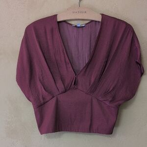 Naked Zebra Red Puff Sleeve Crop Blouse